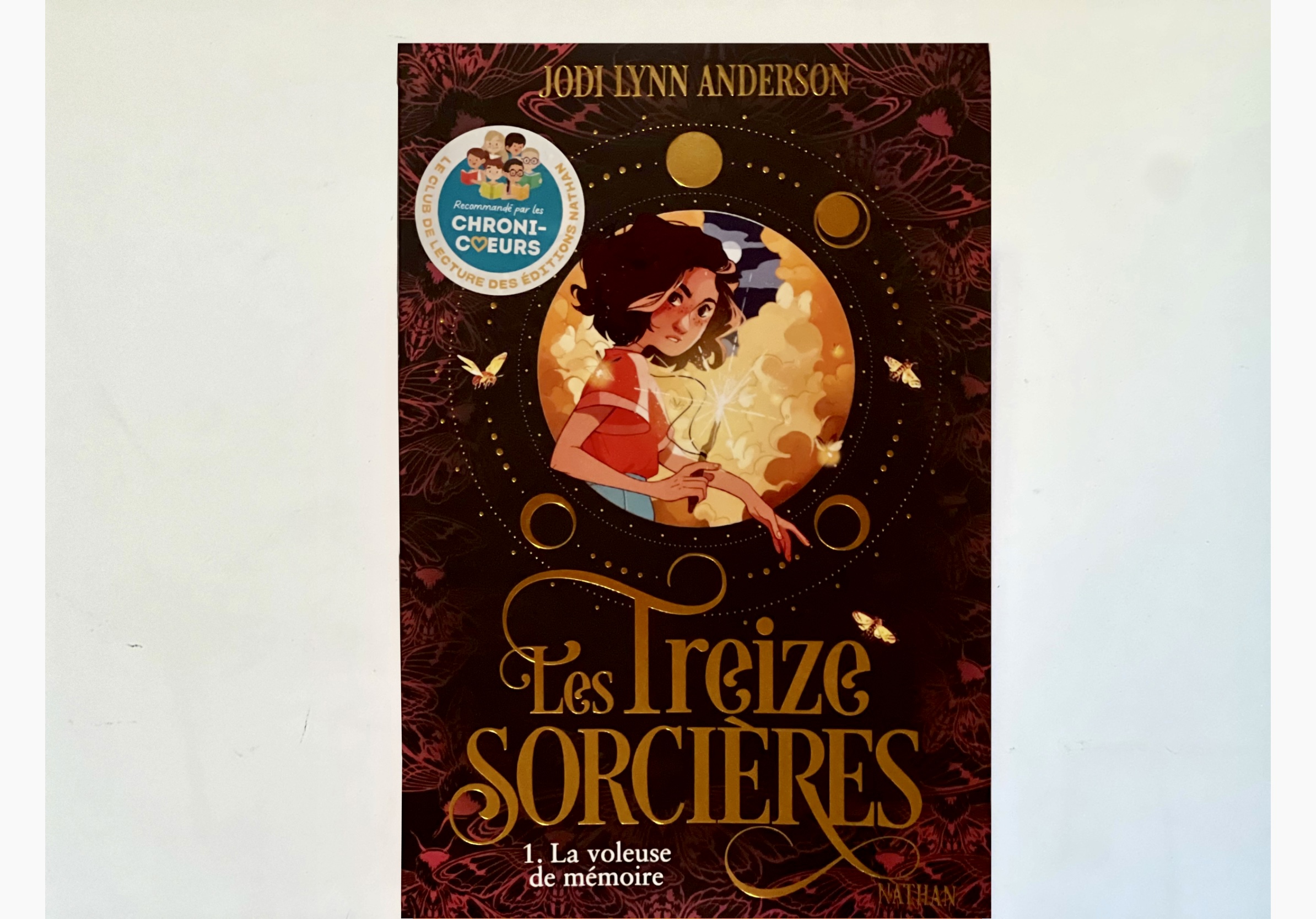 Les treize sorcières T.1 : La voleuse de mémoire, par Jodi Lynn Anderson